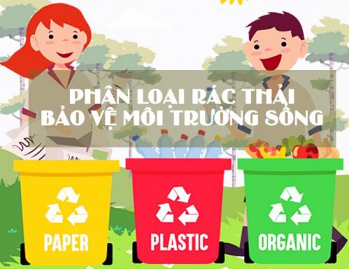 Kỹ năng: Bỏ rác đúng nơi quy định